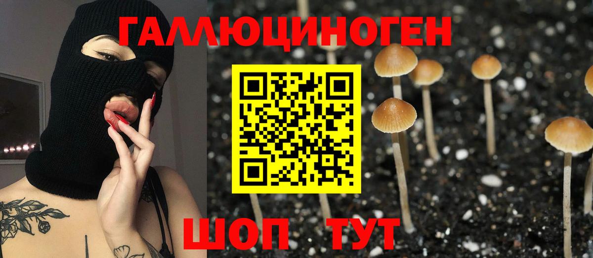 Бошки Шишки Тольятти