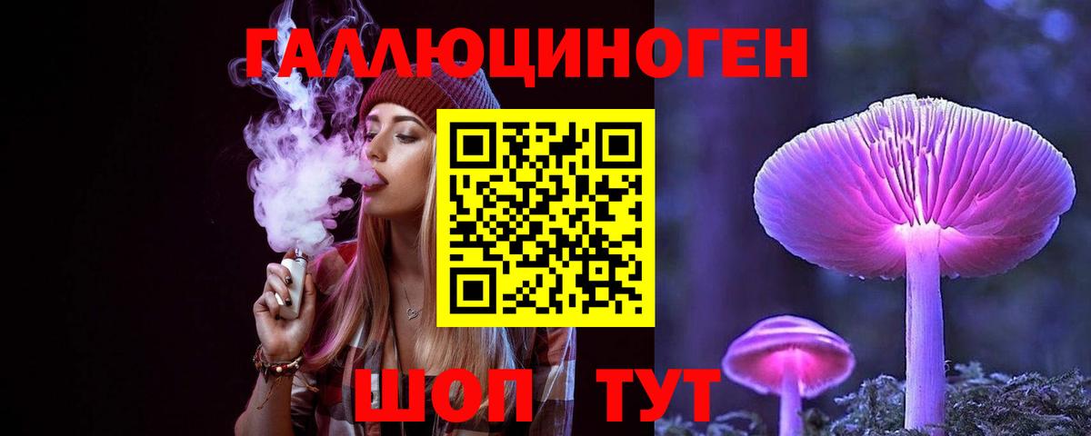 Тольятти  Псилоцибиновые грибы Psilocybine cubensis  Вход с VPN 